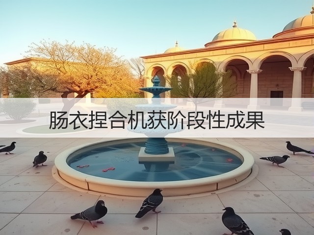肠衣捏合机获阶段性成果(图3) 肠衣捏合机获阶段性成果(图3)