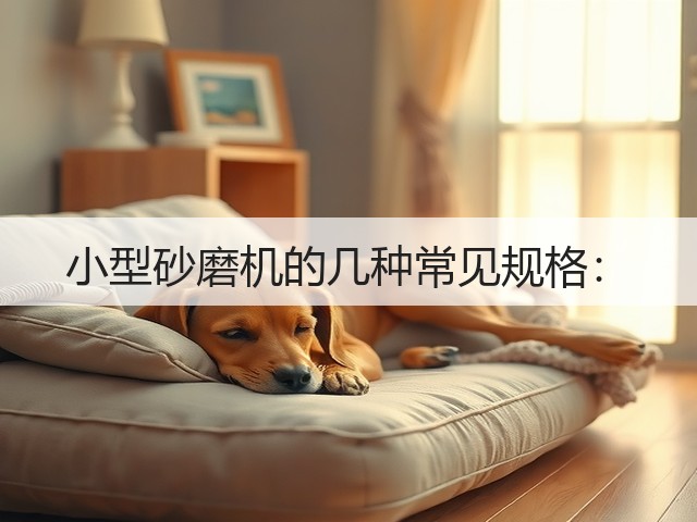 小型砂磨机的几种常见规格:(图1) 小型砂磨机的几种常见规格:(图1)