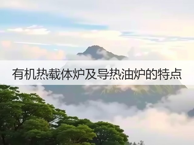有机热载体炉及导热油炉的特点(图1)