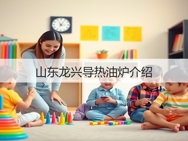 山东龙兴导热油炉介绍(图2)