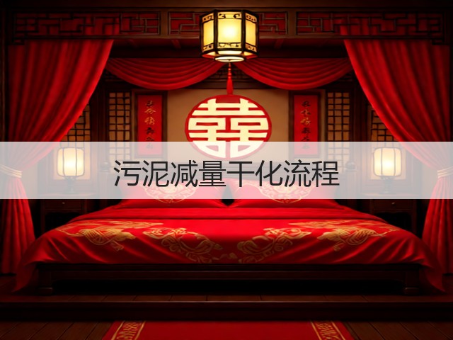 污泥减量干化流程(图1)