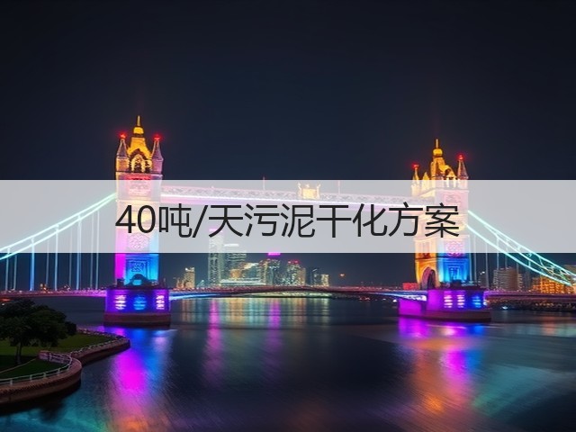 40吨/天污泥干化方案(图3)
