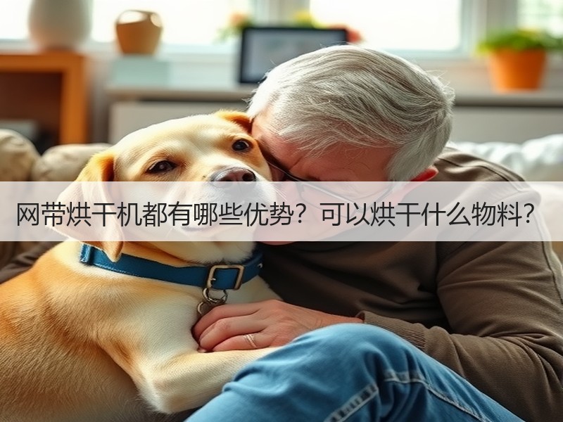 网带烘干机都有哪些优势？可以烘干什么物料？