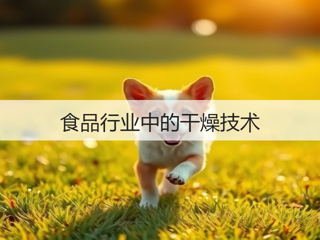 食品行业中的干燥技术(图2) 食品行业中的干燥技术(图2)