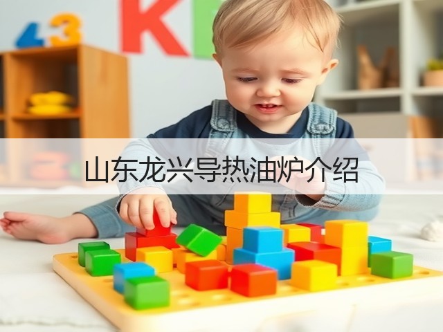 山东龙兴导热油炉介绍(图1)
