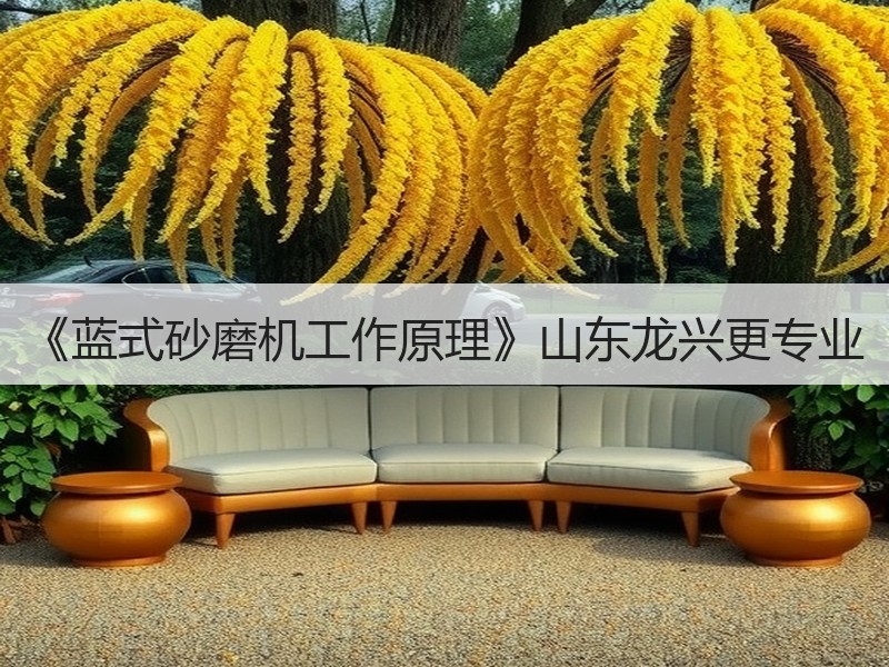 《蓝式砂磨机工作原理》山东龙兴更专业 《蓝式砂磨机工作原理》山东龙兴更专业