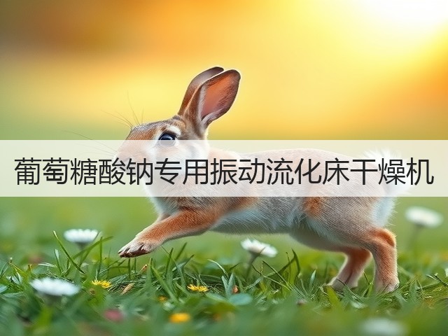 葡萄糖酸钠专用振动流化床干燥机(图2) 葡萄糖酸钠专用振动流化床干燥机(图2)