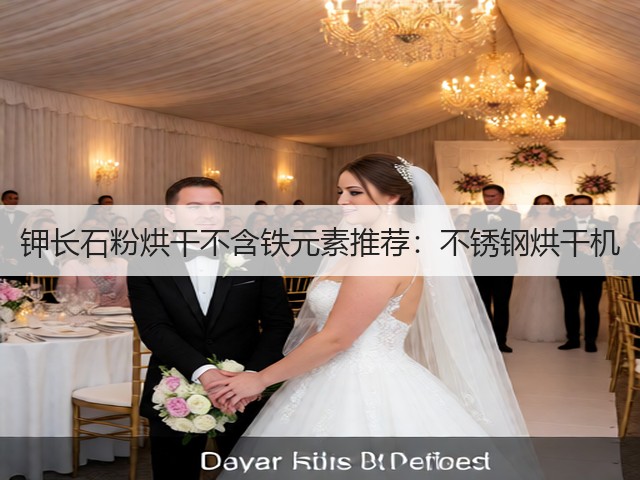 钾长石粉烘干不含铁元素推荐：不锈钢烘干机(图3)