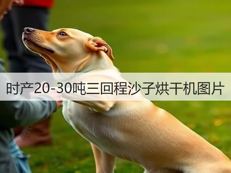 时产20-30吨三回程沙子烘干机图片