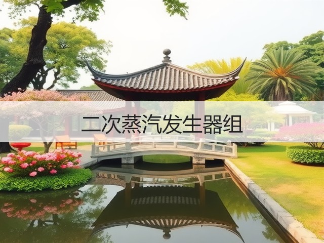 二次蒸汽发生器组(图3) 二次蒸汽发生器组(图3)