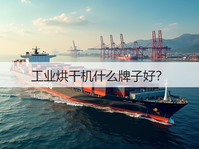 工业烘干机什么牌子好？(图2)