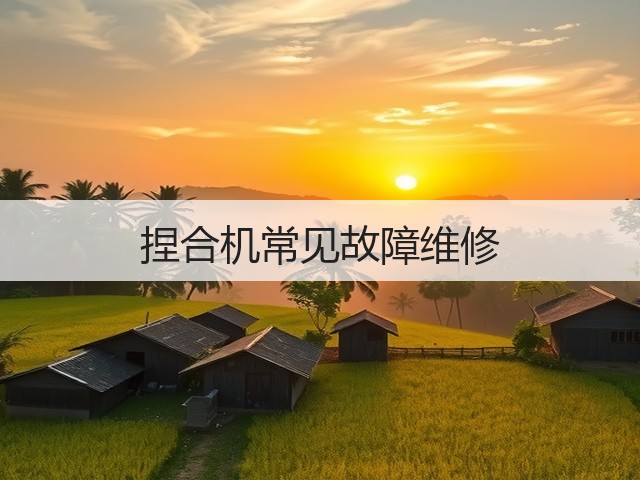 捏合机常见故障维修(图3) 捏合机常见故障维修(图3)