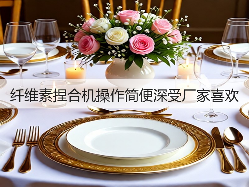 纤维素捏合机操作简便深受厂家喜欢