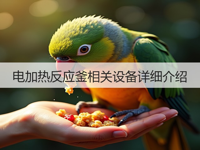 电加热反应釜相关设备详细介绍(图1)
