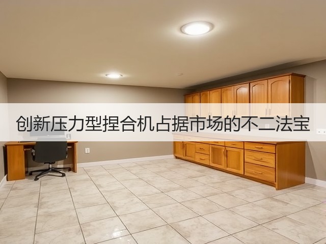 创新压力型捏合机占据市场的不二法宝(图1) 创新压力型捏合机占据市场的不二法宝(图1)