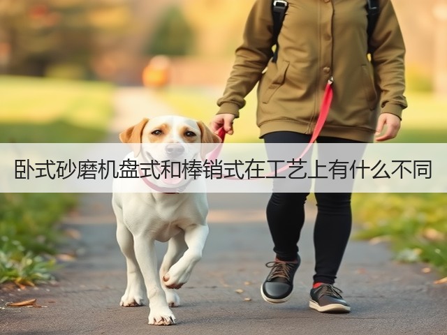 卧式砂磨机盘式和棒销式在工艺上有什么不同(图3) 卧式砂磨机盘式和棒销式在工艺上有什么不同(图3)