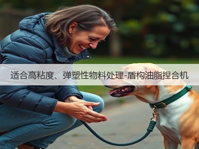 适合高粘度、弹塑性物料处理-盾构油脂捏合机(图1)