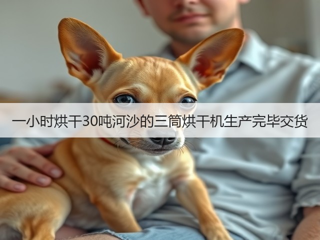 一小时烘干30吨河沙的三筒烘干机生产完毕交货(图2)