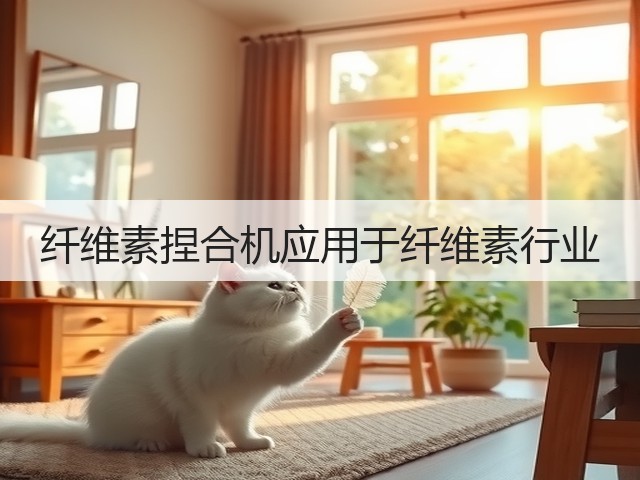 纤维素捏合机应用于纤维素行业(图2) 纤维素捏合机应用于纤维素行业(图2)