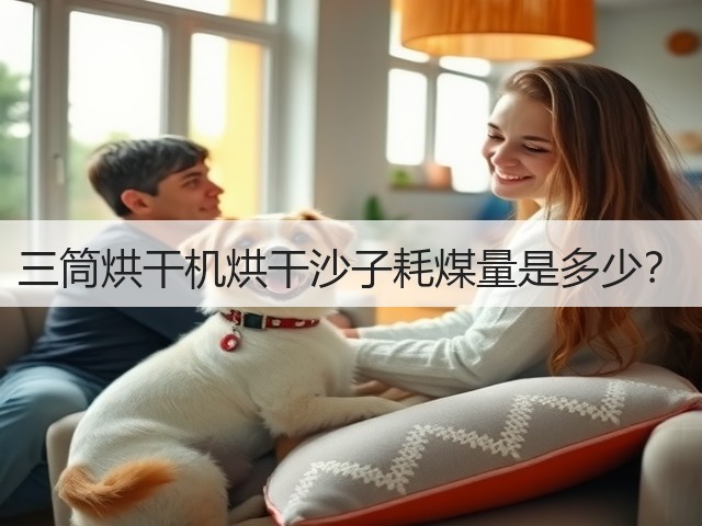 三筒烘干机烘干沙子耗煤量是多少?(图3) 三筒烘干机烘干沙子耗煤量是多少?(图3)
