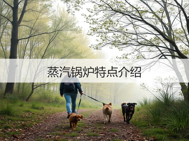 蒸汽锅炉特点介绍(图1)