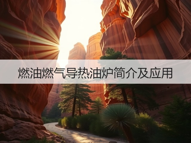 燃油燃气导热油炉简介及应用(图1) 燃油燃气导热油炉简介及应用(图1)