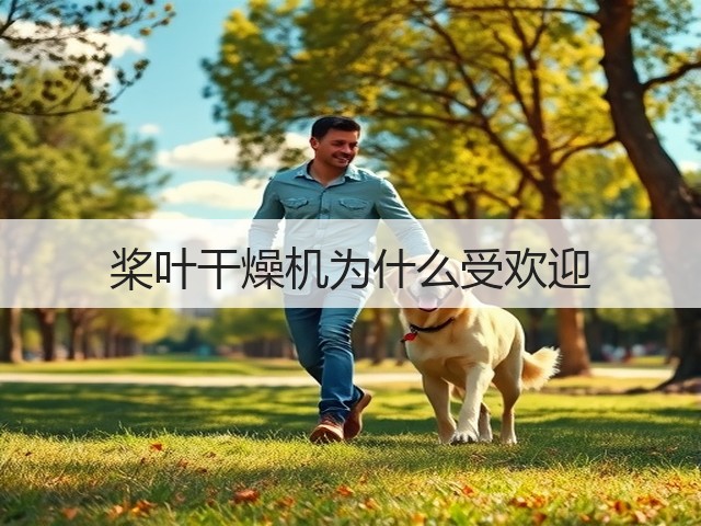 桨叶干燥机为什么受欢迎(图1)