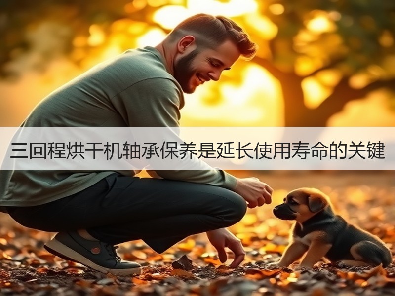 三回程烘干机轴承保养是延长使用寿命的关键