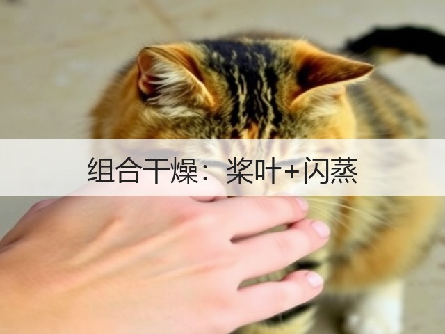 组合干燥:桨叶+闪蒸(图1) 组合干燥:桨叶+闪蒸(图1)