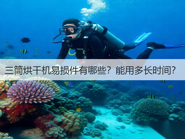 三筒烘干机易损件有哪些?能用多长时间?(图3) 三筒烘干机易损件有哪些?能用多长时间?(图3)