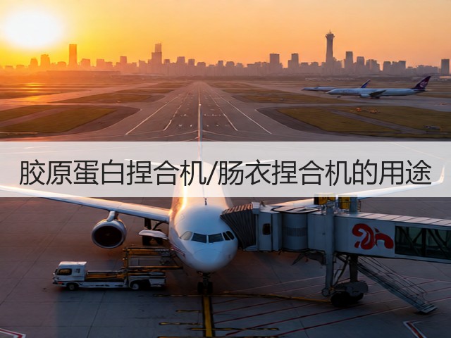 胶原蛋白捏合机/肠衣捏合机的用途(图1)