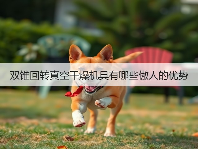 双锥回转真空干燥机具有哪些傲人的优势(图1) 双锥回转真空干燥机具有哪些傲人的优势(图1)