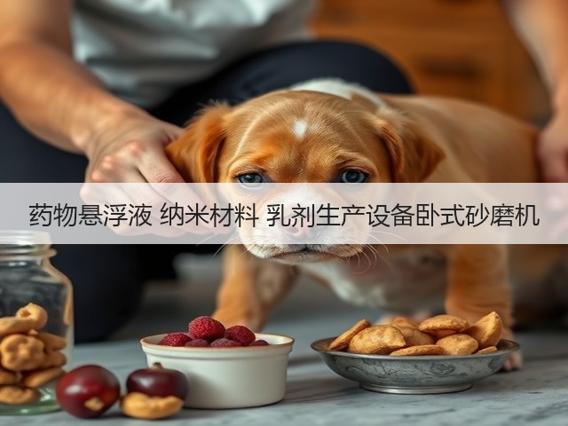药物悬浮液 纳米材料 乳剂生产设备卧式砂磨机(图1) 药物悬浮液 纳米材料 乳剂生产设备卧式砂磨机(图1)