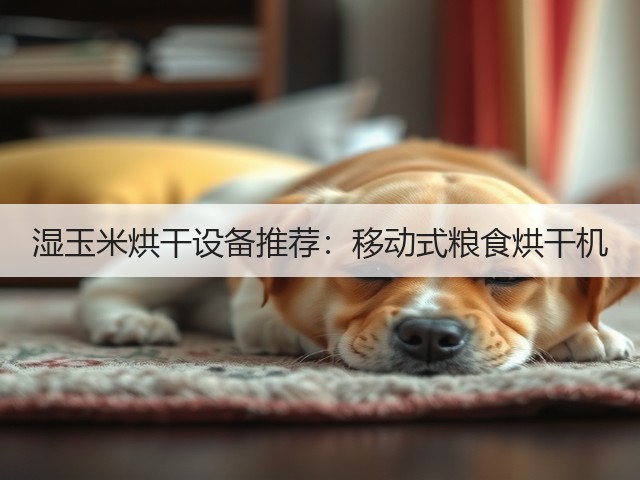 湿玉米烘干设备推荐:移动式粮食烘干机(图2) 湿玉米烘干设备推荐:移动式粮食烘干机(图2)