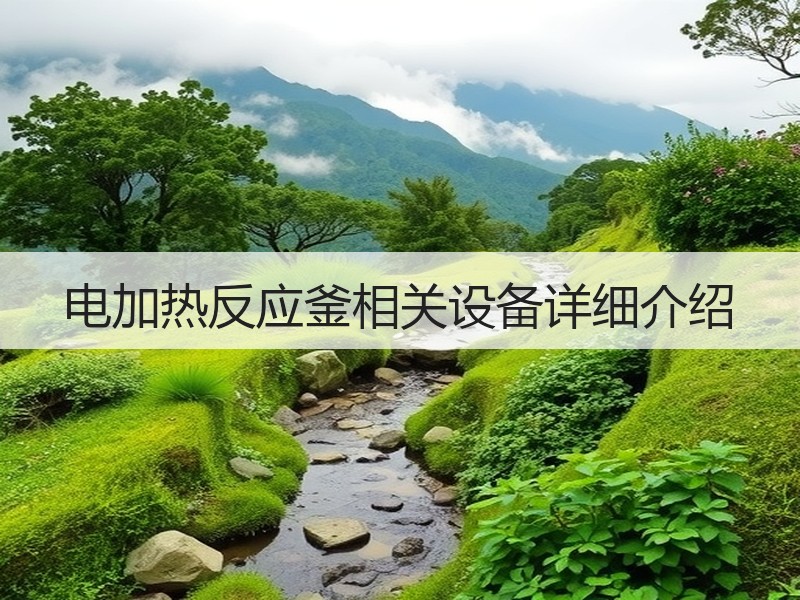 电加热反应釜相关设备详细介绍 电加热反应釜相关设备详细介绍