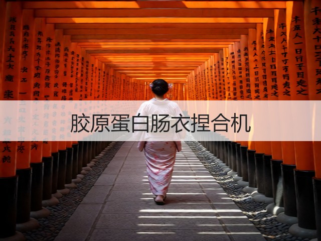 胶原蛋白肠衣捏合机(图1) 胶原蛋白肠衣捏合机(图1)