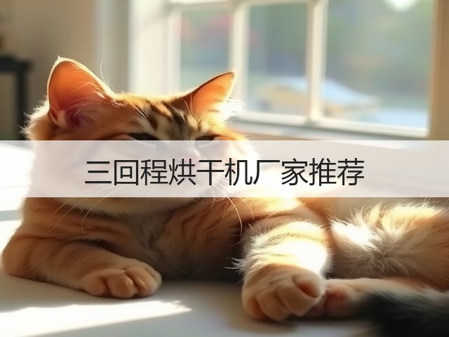 三回程烘干机厂家推荐(图1) 三回程烘干机厂家推荐(图1)