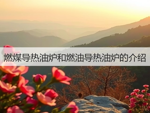 燃煤导热油炉和燃油导热油炉的介绍(图2) 燃煤导热油炉和燃油导热油炉的介绍(图2)