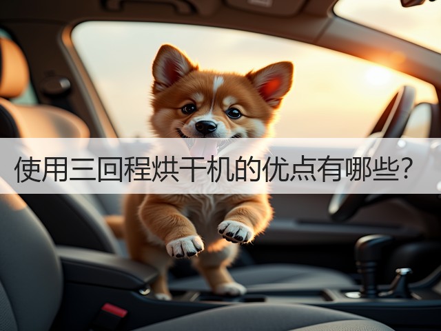 使用三回程烘干机的优点有哪些?(图2) 使用三回程烘干机的优点有哪些?(图2)