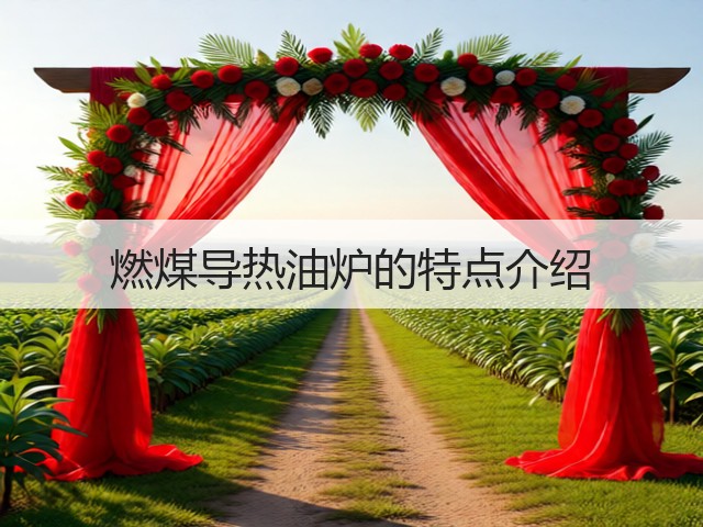 燃煤导热油炉的特点介绍(图2) 燃煤导热油炉的特点介绍(图2)