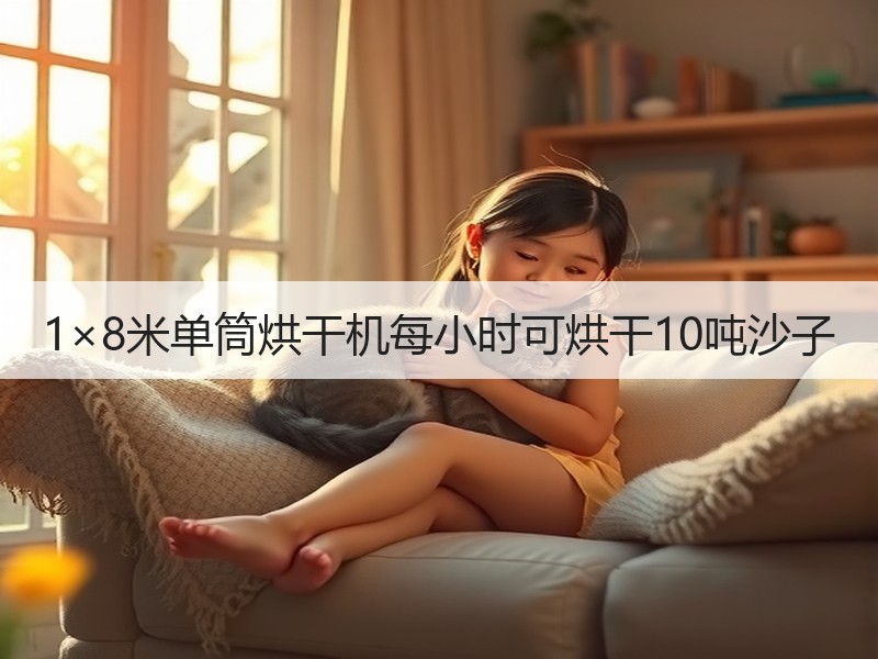 1×8米单筒烘干机每小时可烘干10吨沙子 1×8米单筒烘干机每小时可烘干10吨沙子