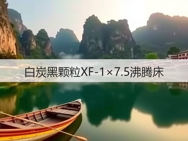白炭黑颗粒XF-1×7.5沸腾床