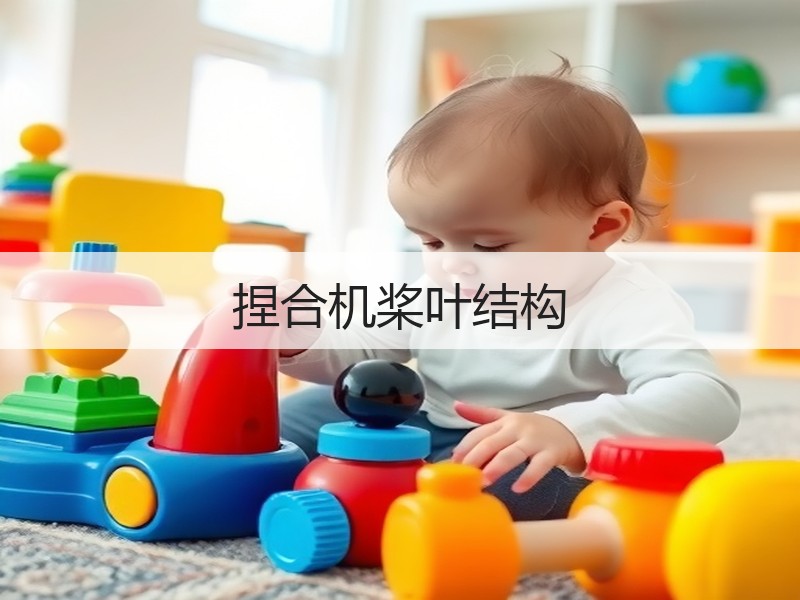 捏合机桨叶结构 捏合机桨叶结构