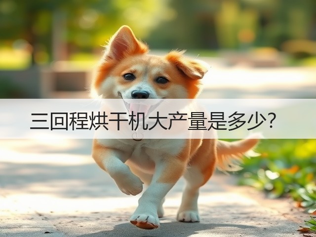 三回程烘干机大产量是多少?(图1) 三回程烘干机大产量是多少?(图1)