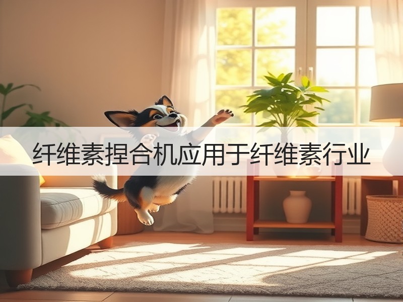 纤维素捏合机应用于纤维素行业 纤维素捏合机应用于纤维素行业