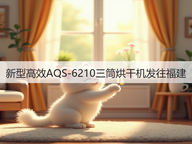 新型高效AQS-6210三筒烘干机发往福建