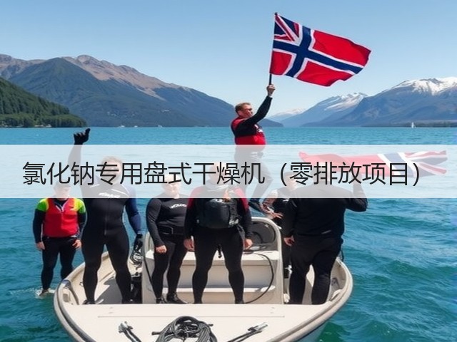 氯化钠专用盘式干燥机(零排放项目)(图3) 氯化钠专用盘式干燥机(零排放项目)(图3)