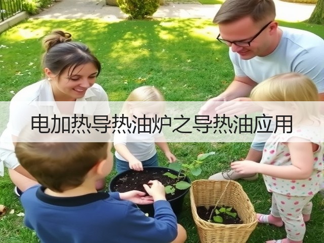电加热导热油炉之导热油应用(图1) 电加热导热油炉之导热油应用(图1)