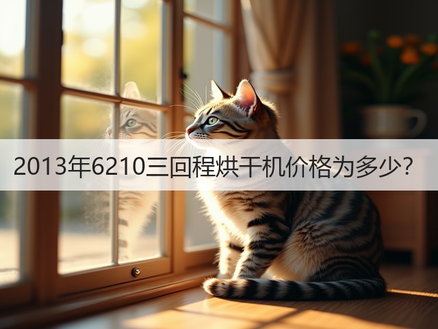 2013年6210三回程烘干机价格为多少?(图2) 2013年6210三回程烘干机价格为多少?(图2)