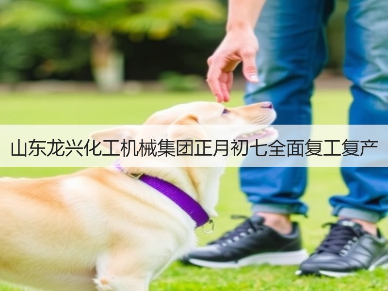 山东龙兴化工机械集团正月初七全面复工复产
